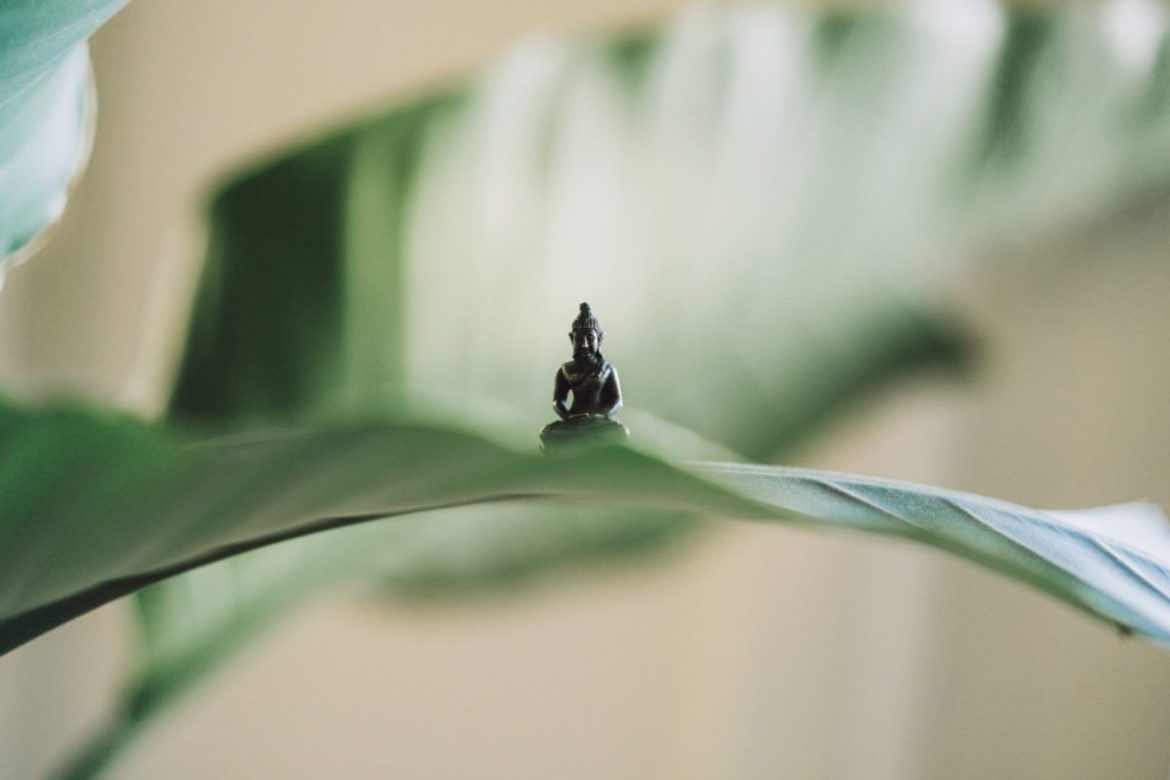 Meditación Vipassana