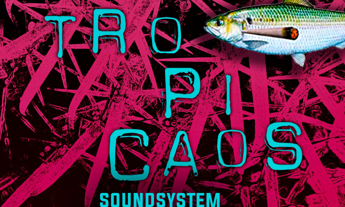 Soundsystem subacuático