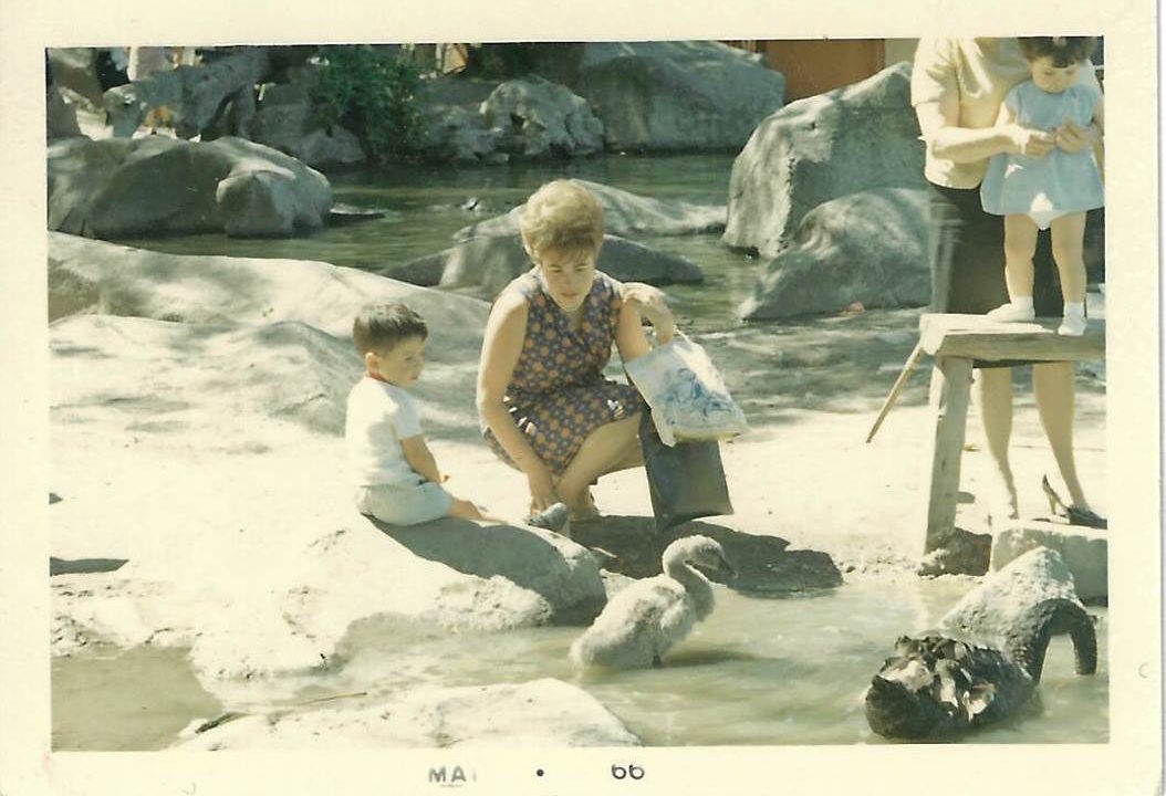 Archivo de POSTALES