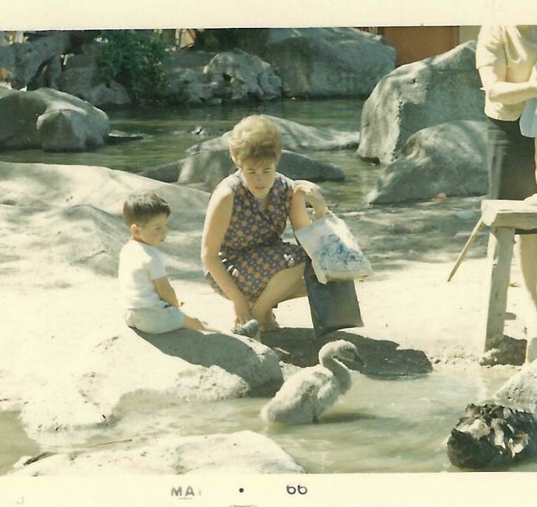Archivo de POSTALES