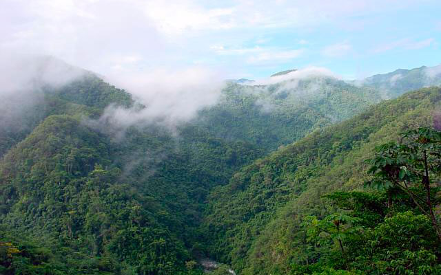 Oaxaca