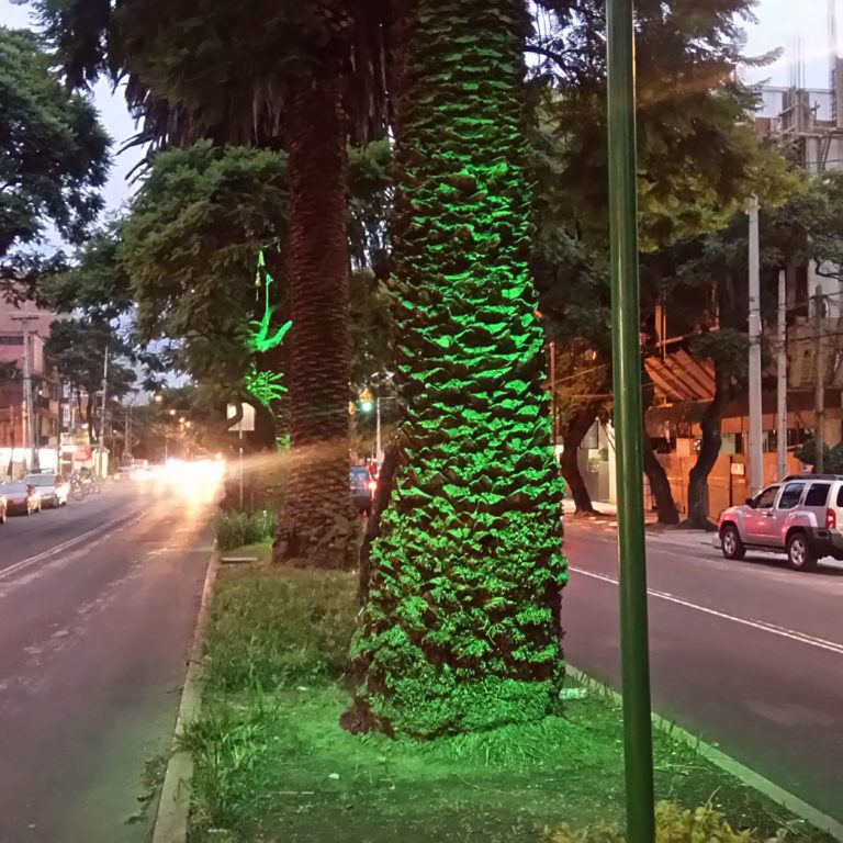 pulso de marte 19 mayo 2020