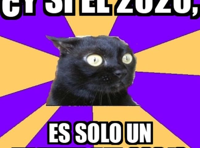 Gato SAlem 21