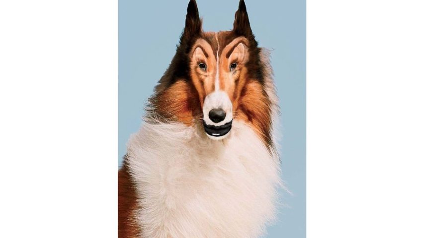 Lassie By J. Waters