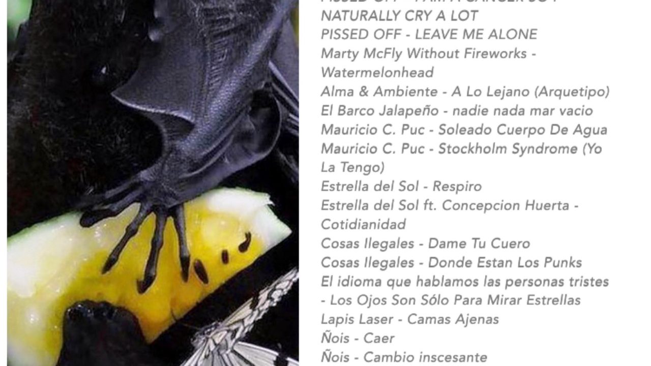 musica mexicana experimental 2022