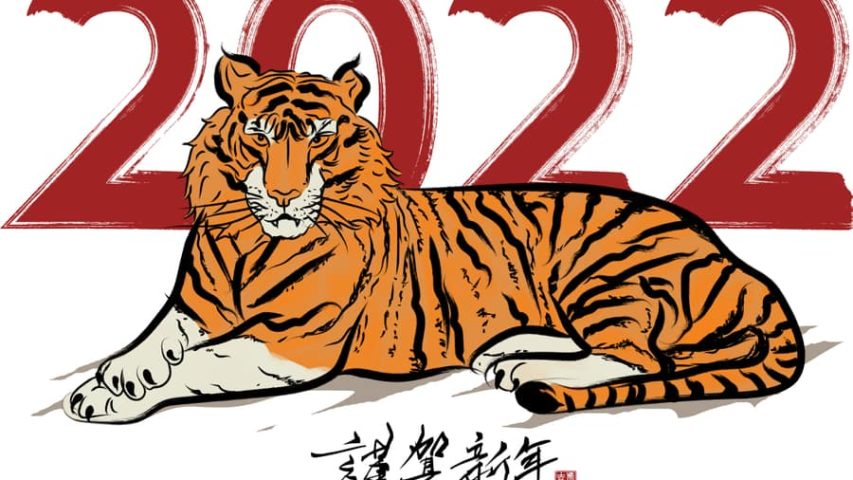 tigre invasiones 2022