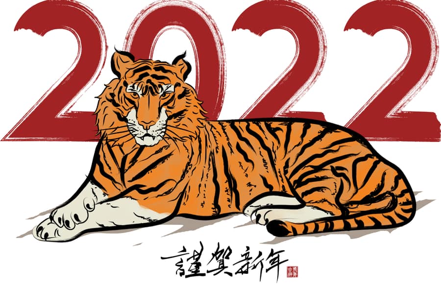 tigre invasiones 2022
