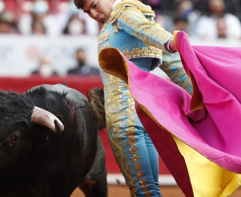 Juez suspendió provisionalmente las corridas en la Plaza México.
