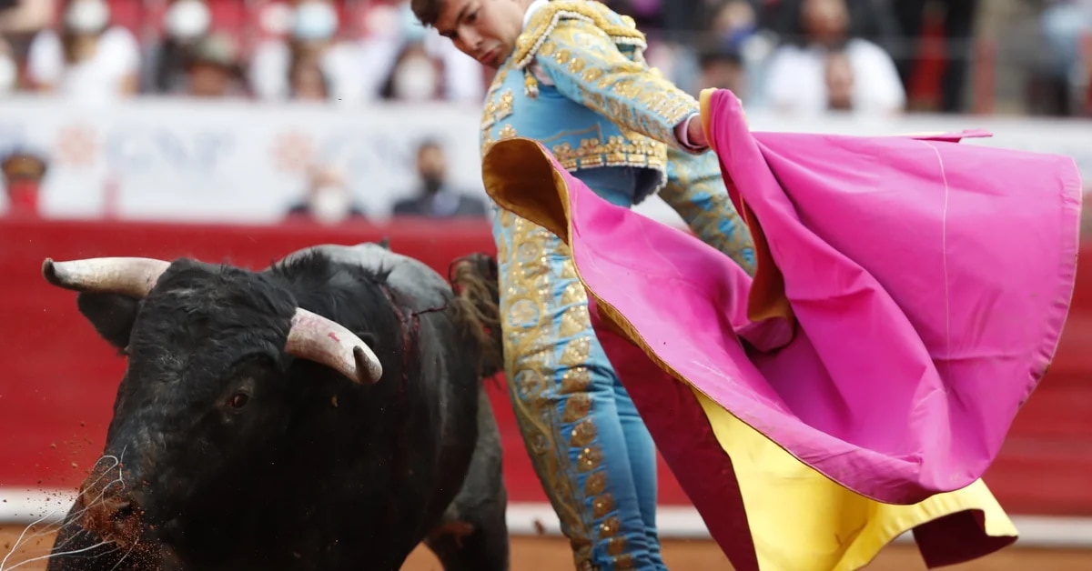 Juez suspendió provisionalmente las corridas en la Plaza México.