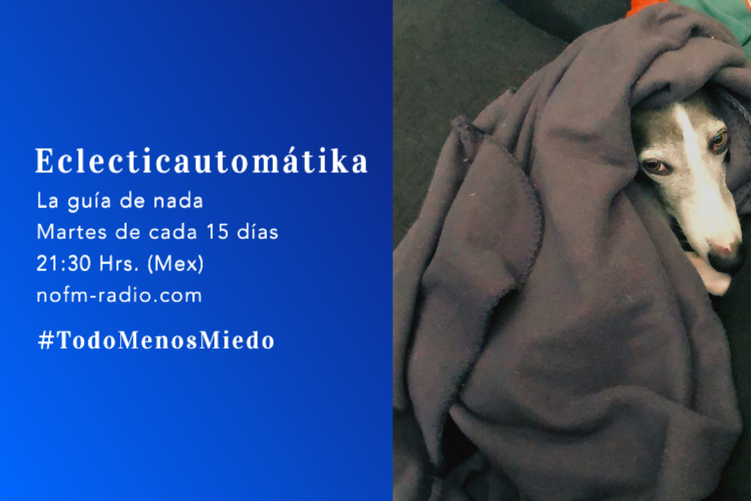 detox nofm